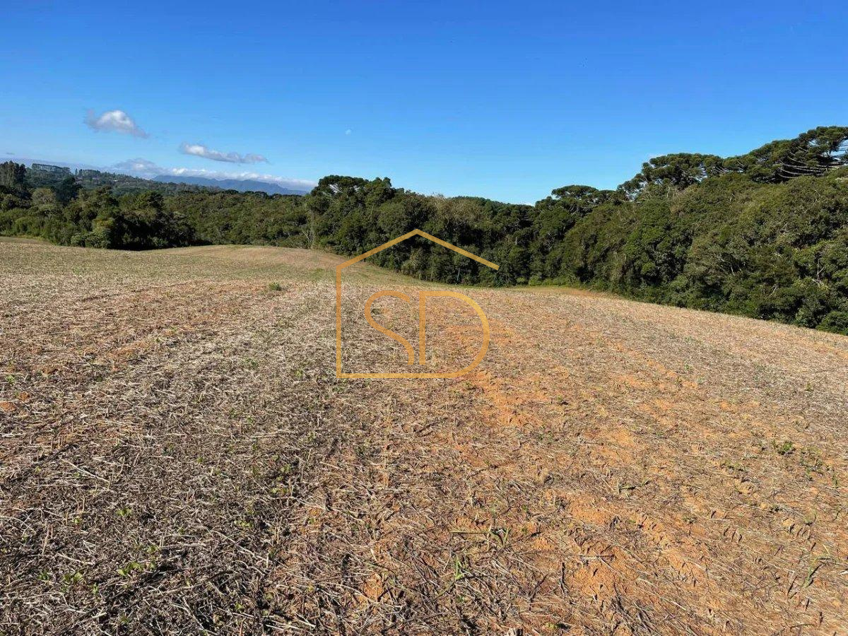 Espetacular Área Rural no Caminho do Vinho, 21.000m², à venda em São José dos Pinhais, Colônia Murici
