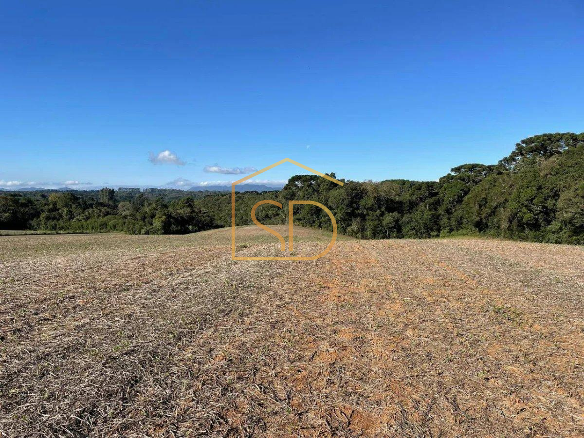 Espetacular Área Rural no Caminho do Vinho, 21.000m², à venda em São José dos Pinhais, Colônia Murici - Solange Delfim Consultora de Imóveis