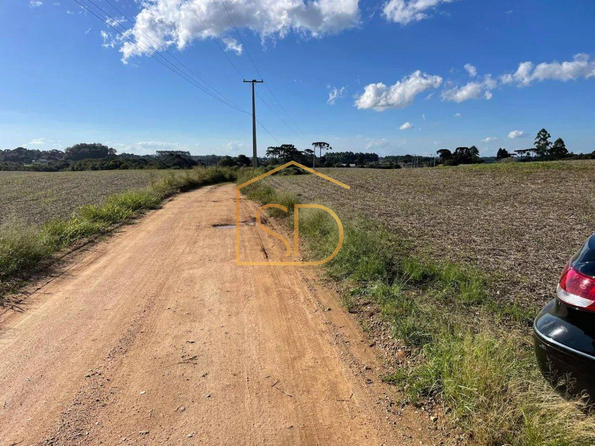 Espetacular Área Rural no Caminho do Vinho, 21.000m², à venda em São José dos Pinhais, Colônia Murici - Solange Delfim Consultora de Imóveis