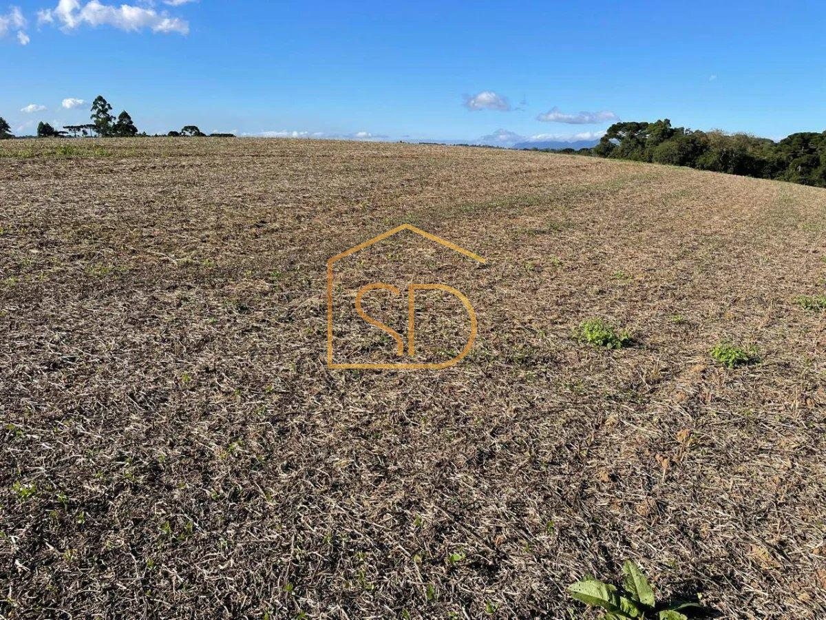 Espetacular Área Rural no Caminho do Vinho, 21.000m², à venda em São José dos Pinhais, Colônia Murici - Solange Delfim Consultora de Imóveis