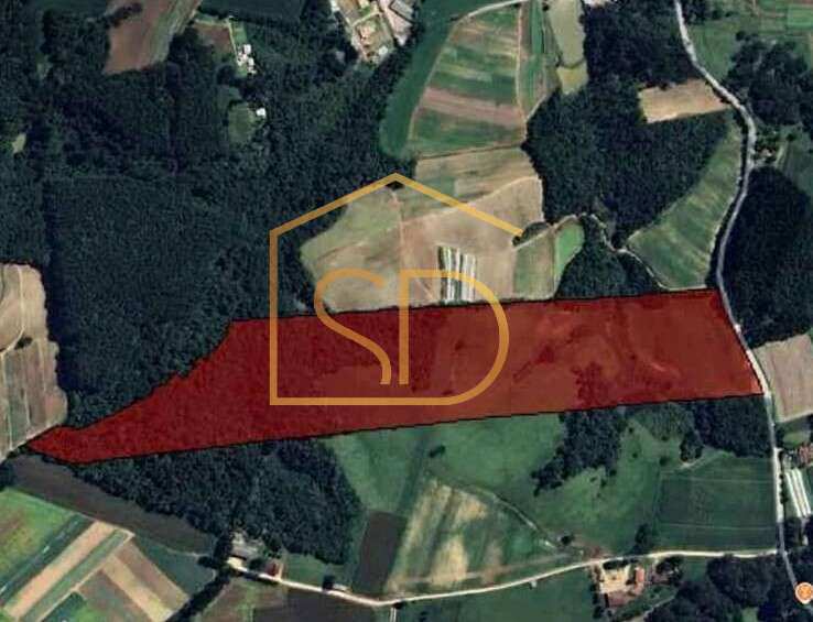 Área à venda, 34000m² - Solange Delfim Consultora de Imóveis