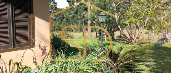 Chácara 11 Alqueires Paulista à venda em Tijucas do Sul, Ribeirão do Mel. - Solange Delfim Consultora de Imóveis