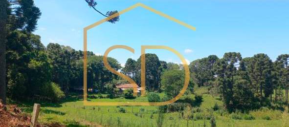 Chácara 11 Alqueires Paulista à venda em Tijucas do Sul, Ribeirão do Mel. - Solange Delfim Consultora de Imóveis