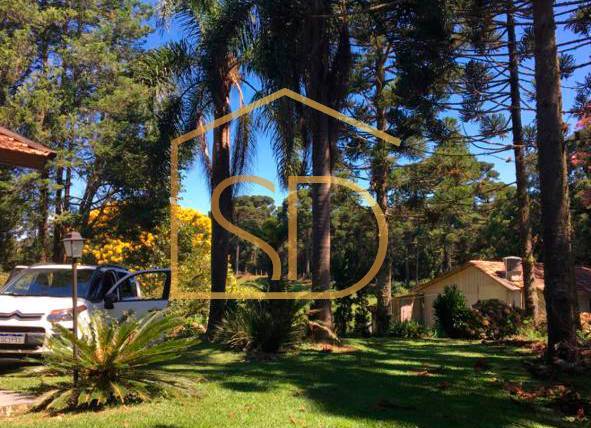 Chácara 11 Alqueires Paulista à venda em Tijucas do Sul, Ribeirão do Mel. - Solange Delfim Consultora de Imóveis