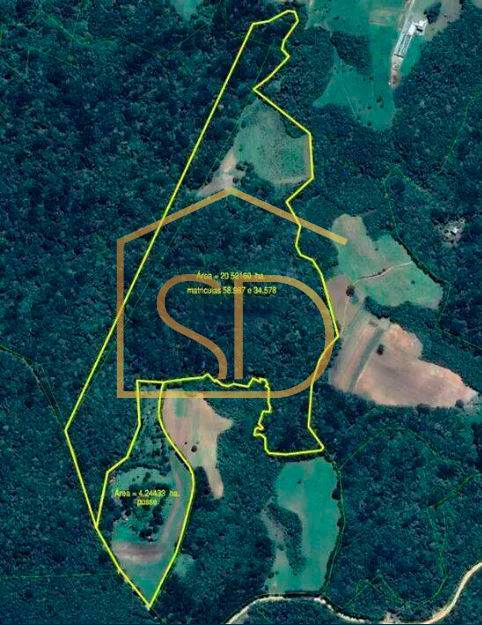 Chácara 11 Alqueires Paulista à venda em Tijucas do Sul, Ribeirão do Mel. - Solange Delfim Consultora de Imóveis
