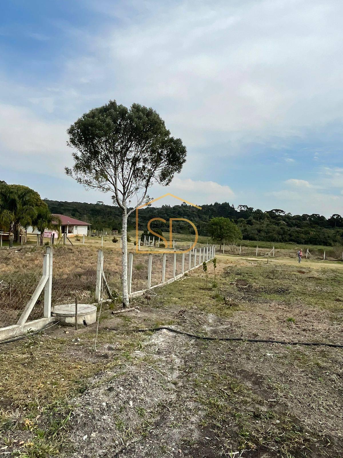 Chácara 44 no Condomínio Sol Nascente, 2.437,42m², à venda em Tijucas do Sul, Rio do Una - Solange Delfim Consultora de Imóveis