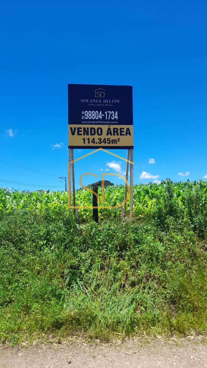Espetacular Área à venda com 114.345m² no Caminho do Vinho em São José dos Pinhais, Mergulhão. - Solange Delfim Consultora de Imóveis