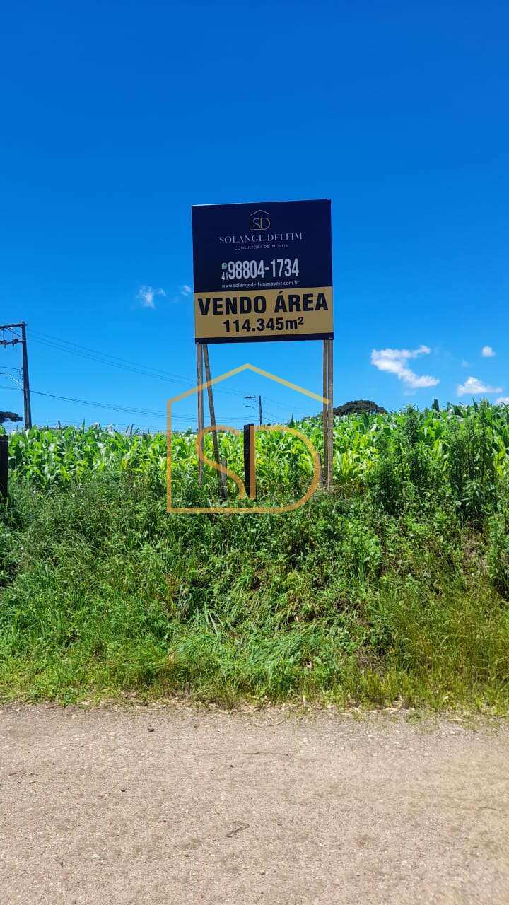 Espetacular Área à venda com 114.345m² no Caminho do Vinho em São José dos Pinhais, Mergulhão. - Solange Delfim Consultora de Imóveis