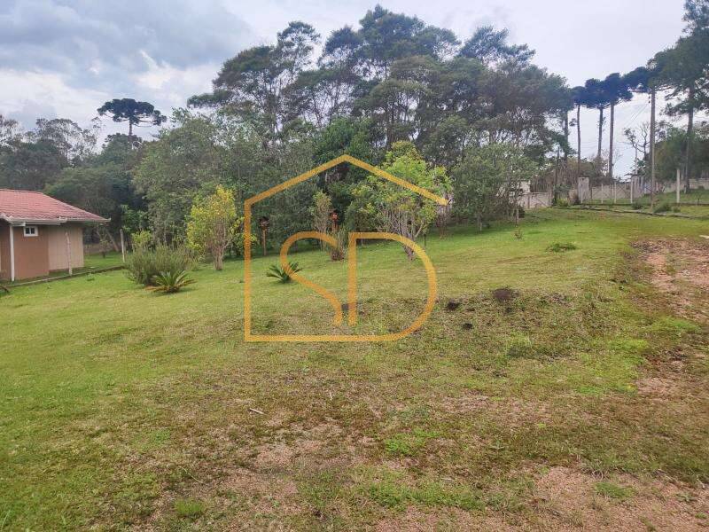 Maravilhosa Chácara à venda, 2.643.97 m² no Condomínio Sol Nascente em Tijucas do Sul, Rio de Una, com 2 quartos e Pomar - Solange Delfim Consultora de Imóveis